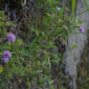 DSC5345-result