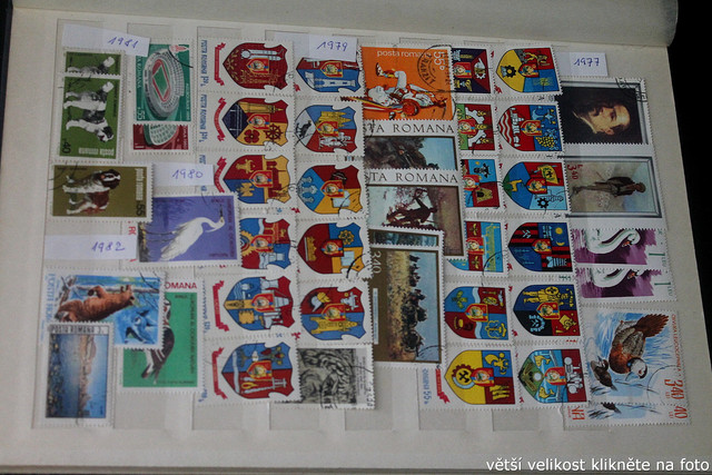 IMG-2561.jpg