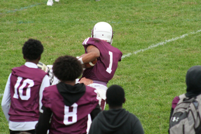 IMG-8324.jpg
