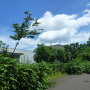 P1330856