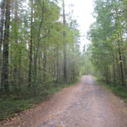 IMG-9706