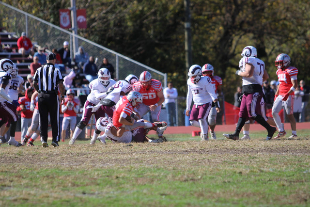 IMG-1519