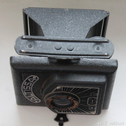 IMG-1516