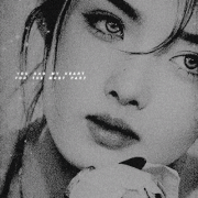 0003.gif