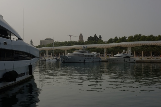 DSCF8894.jpg