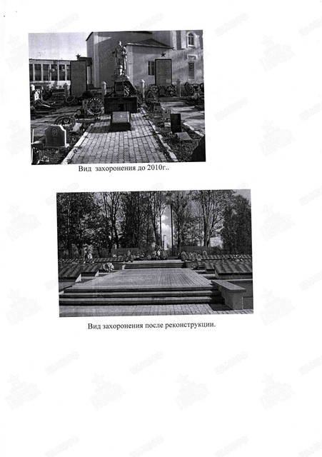 https://i.ibb.co/Gv2P7p5B/image.jpg