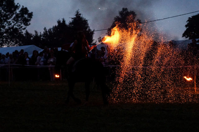DSC05834.jpg