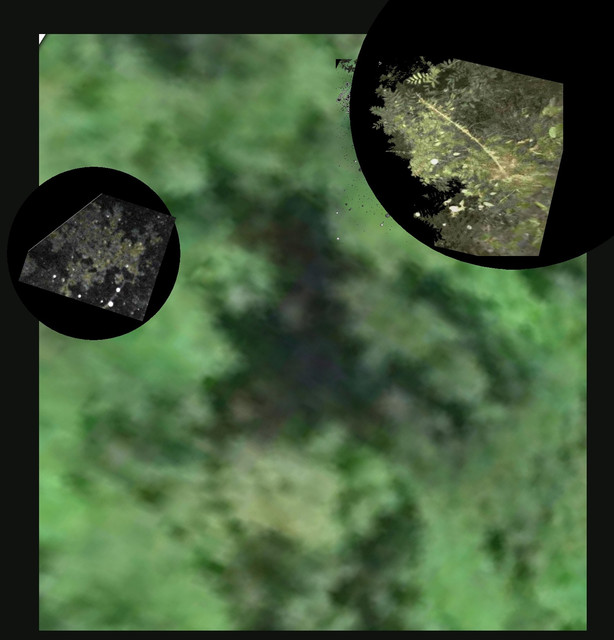 comparison-1