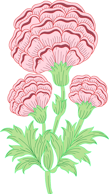 80.png