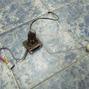 IMG 0321