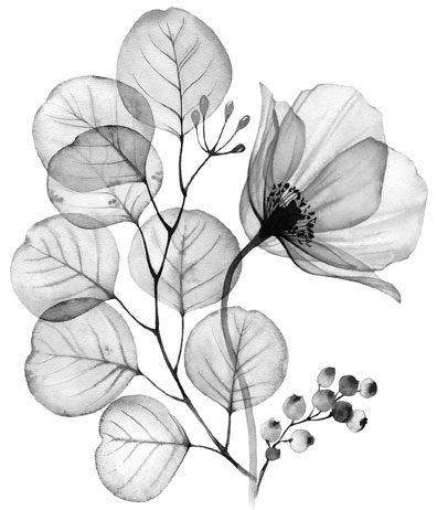 i 009.jpg