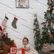 IMG 4467