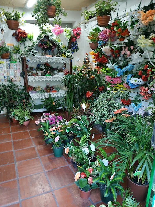 Floreria Mar Bel