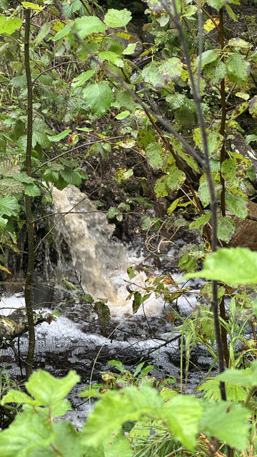 IMG 5113.jpg