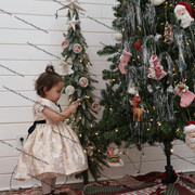 IMG 4379