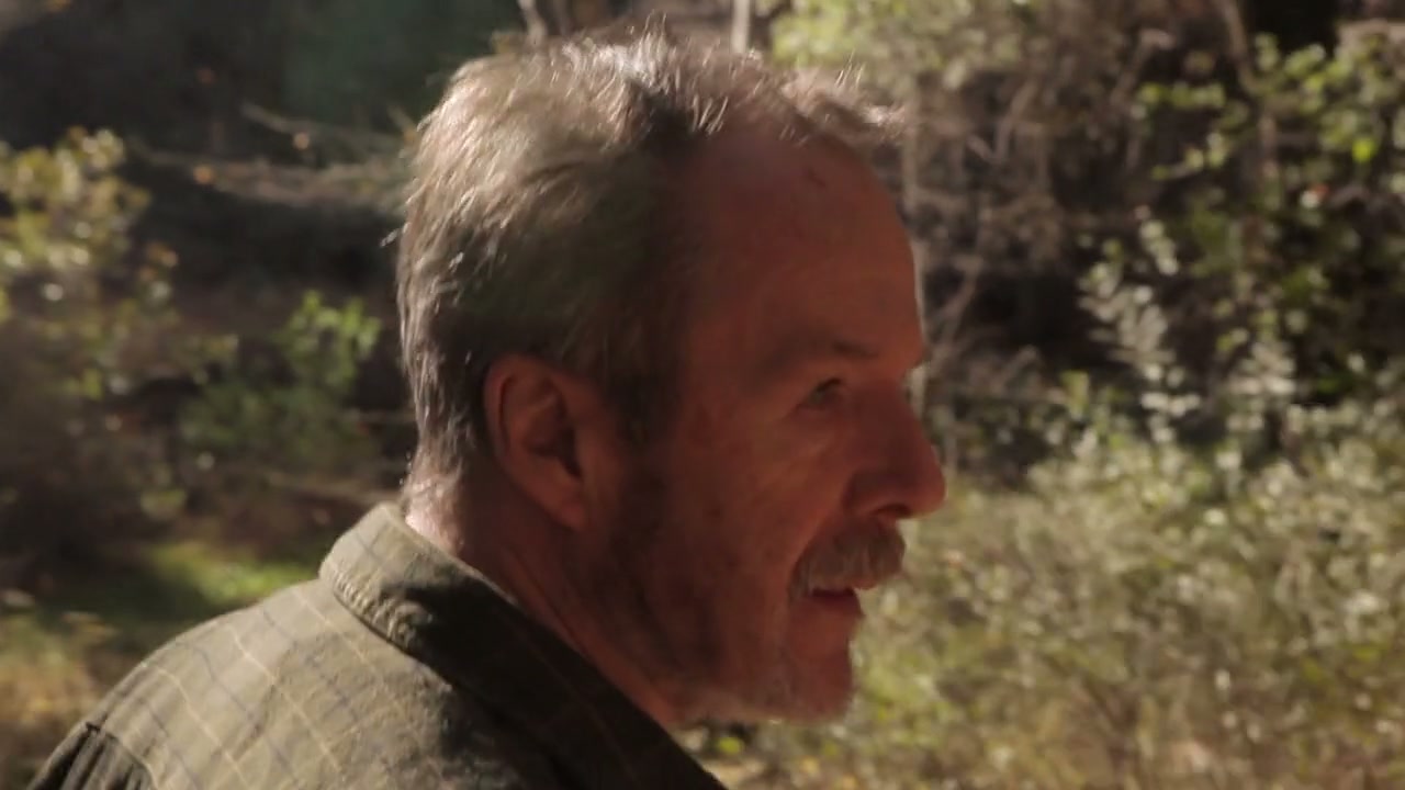 The Burning Dead Screenshot