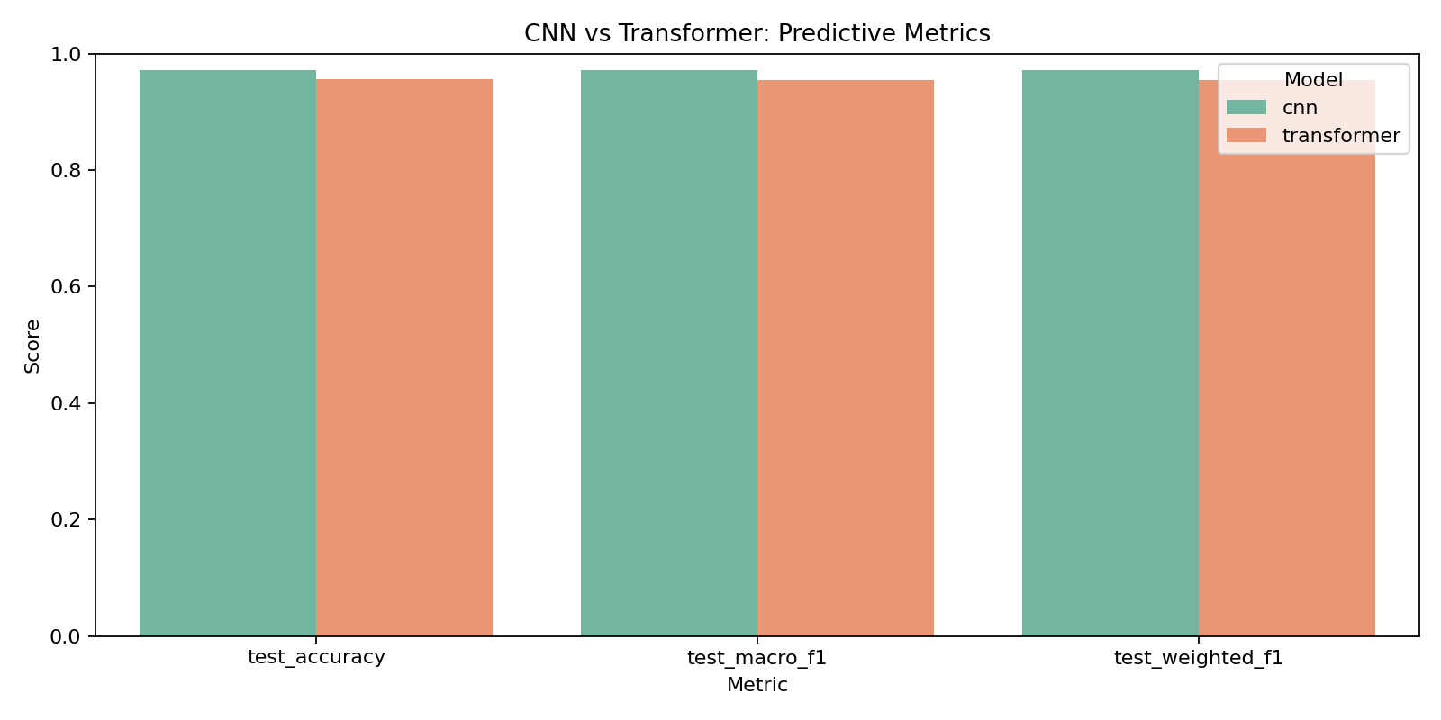 CNN vs Transformer Metrics