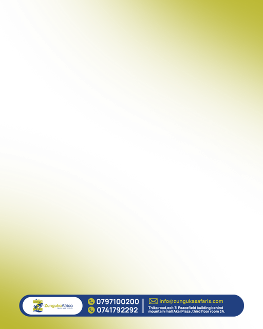 photo overlaaay.png