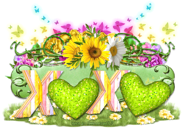 Spring Flowers XOXO.gif