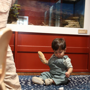 IMG 5713