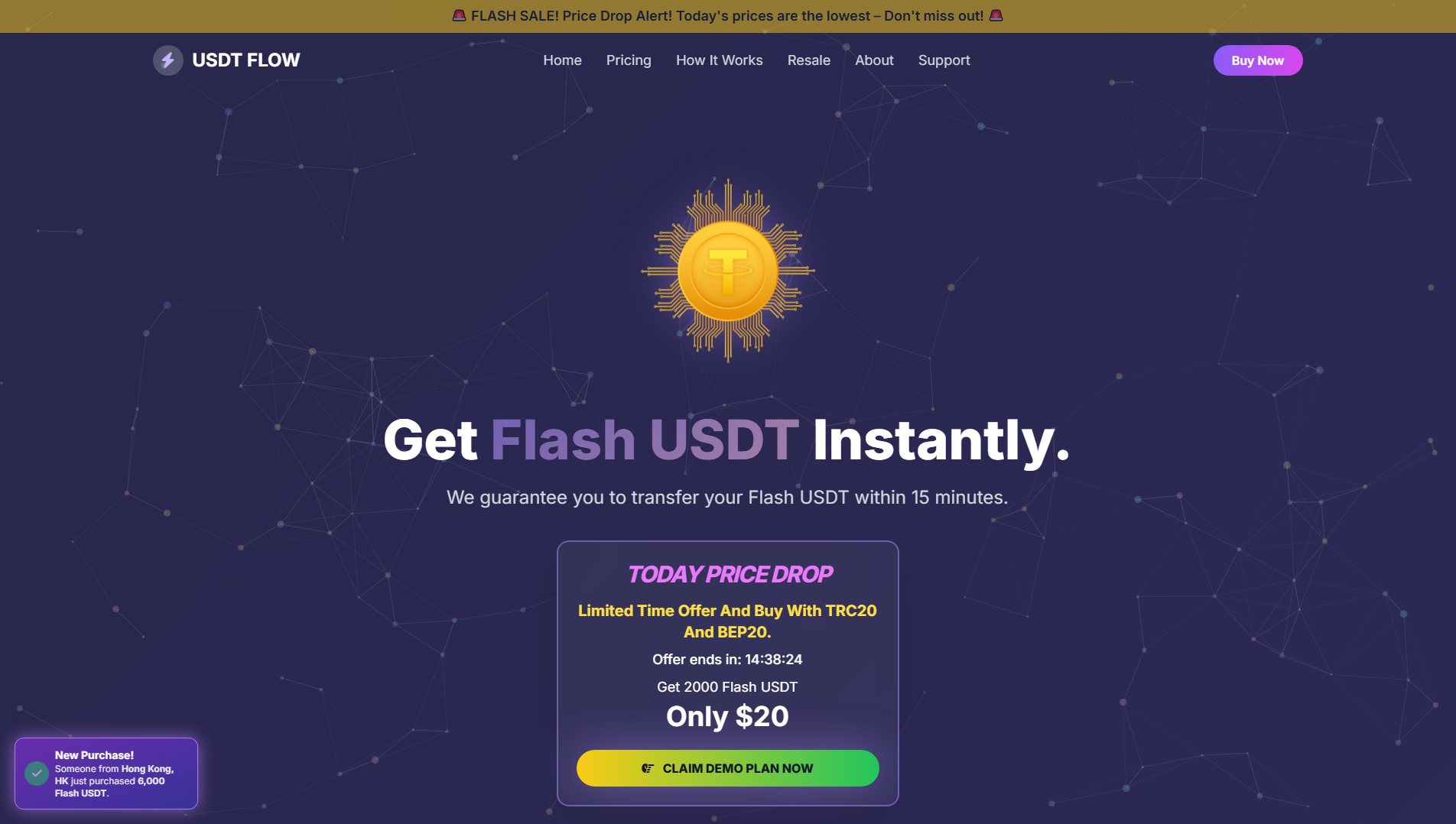 Stored capture of usdtflashsupplier.sale