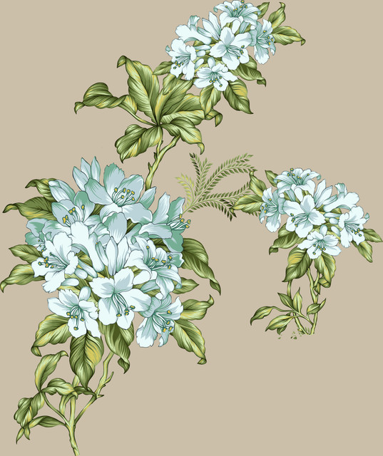 shutterstock 2027653757.jpg