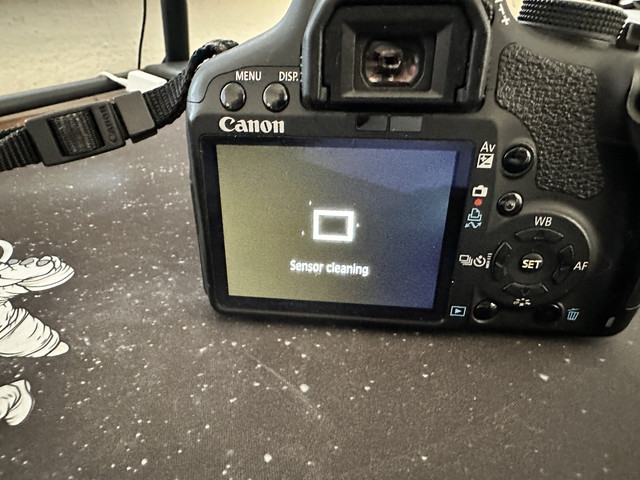 IMG-3204