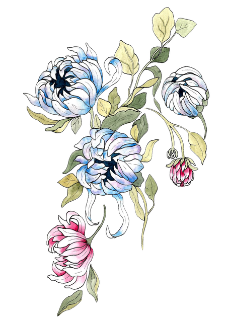 d515061191997e87fd672e4de95bc968.png