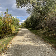 IMG 0350