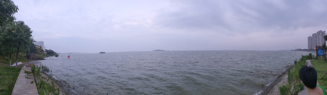 IMG20200718192149.jpg