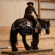 IMG-6154