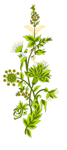 9d8306f1389ad2e8d2a19ced216d223a.png