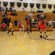 IMG-0084