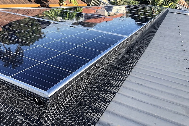 Solar-Panel-Bird-Proofing