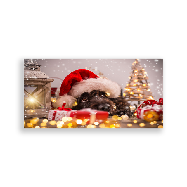 702396-Natal