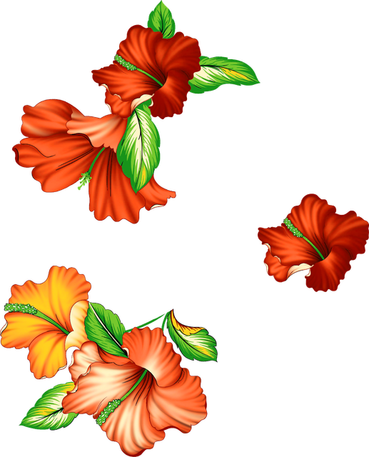 IMG 7057.png