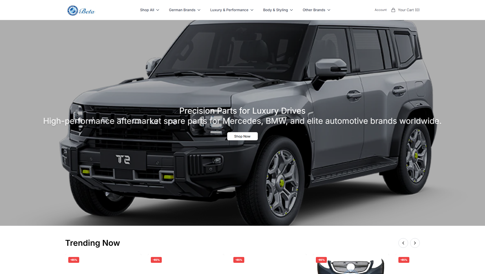 Stored capture of betaautopartsshop.shop