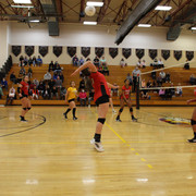 IMG-0080