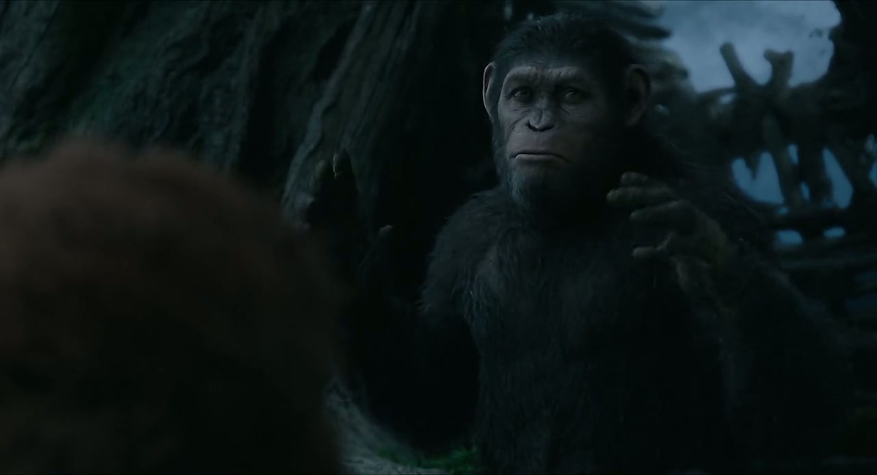 Dawn of the Planet of the Apes Screenshot