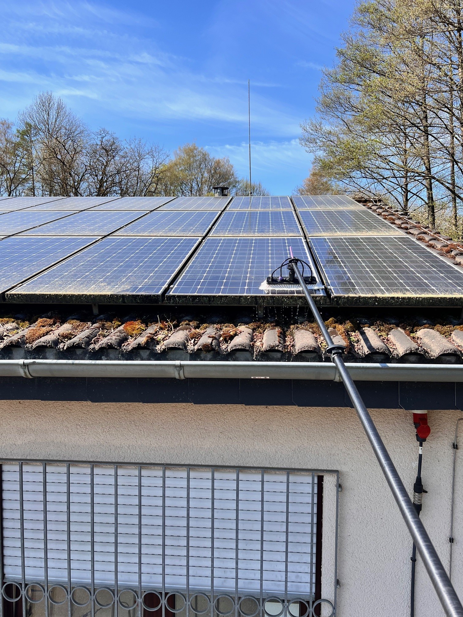 Reinigung eines stark veralgten, grün verfärbten Solarmoduls im Oberbergischen Kreis