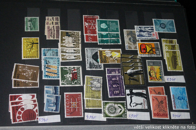 IMG-3699.jpg