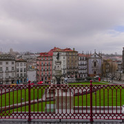 IMGP6605