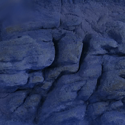 roca4