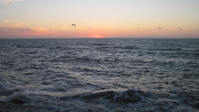 IMG-0666