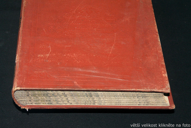 IMG-6420.jpg