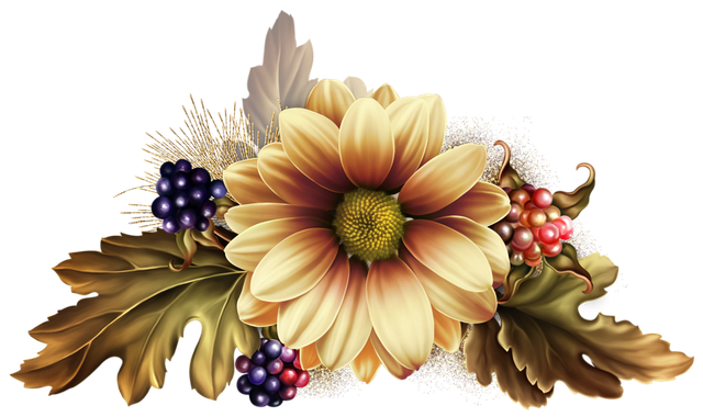 d862e9631d460b527c4f9bcc34d58f3e.png