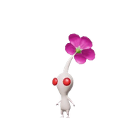 white2 removebg preview