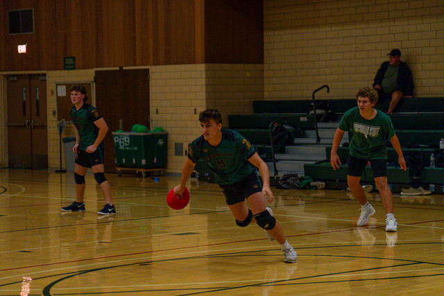 DSC04871.jpg