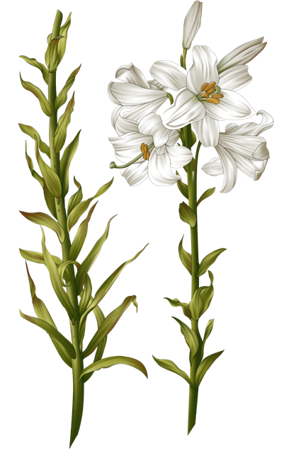 01-503