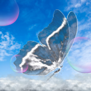 butterfly